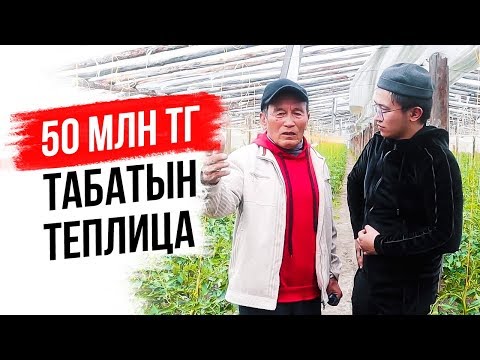 Видео: Сұмдық табыс 50 000 000 тг. Қияр, қызанақ өсіру. Жылыжай салу технологиясы. Ауыл шаруашылығы.