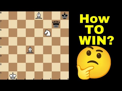 Видео: Вы можете поймать ферзя тремя фигурами!