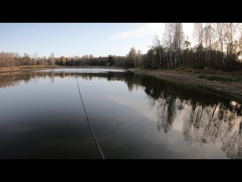 Видео: В поисках окуня | В тайге по малым рекам | Рыбалка в октябре