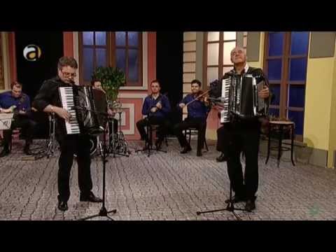 Видео: Зајди Зајди - Емисија посветена на виртуозот на хармоника, маестро Милан Завков