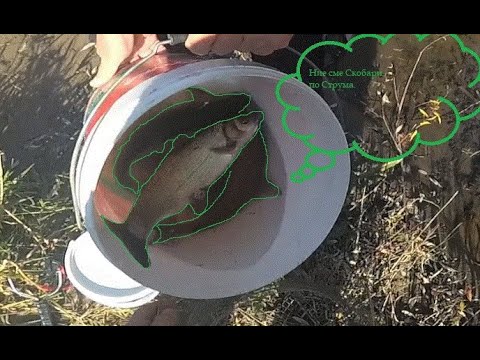 Видео: река Струма   Struma river