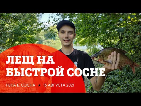 Видео: Ловля леща на Быстрой Сосне