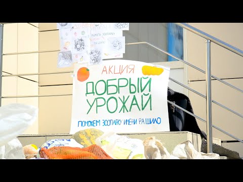 Видео: Добрый урожай