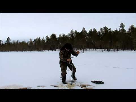 Видео: Как наловить ручейников( шитиков) в зимнее время