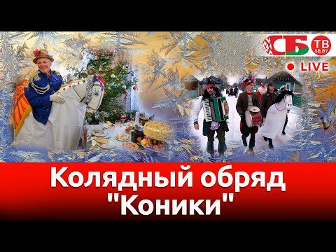 Видео: Необычный колядный обряд "Коники" в Давид-Городке | СТРИМ