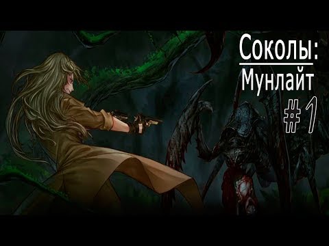 Видео: Соколы: Мунлайт / The Falconers: Moonlight (ВН) #1 Встреча