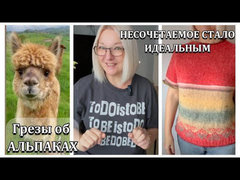 Видео: Как я нашла гармонию в несочетаемых оттенках. Готовлюсь к ретриту среди люксовых альпак.