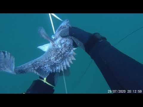 Видео: Приморский  край , город Находка Бухта Попова 29.07.2020