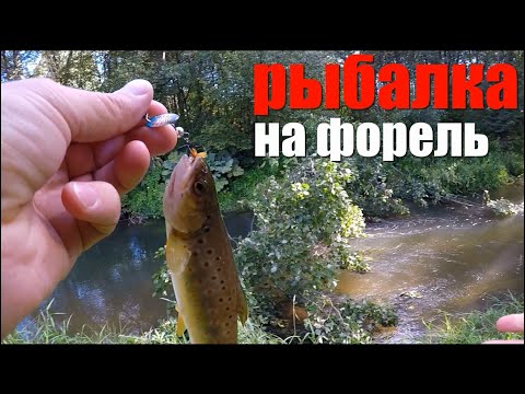 Видео: Ловля ФОРЕЛИ на микроречке | Хорошие поклёвки на блесну!