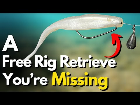 Видео: Вы уже пробовали эту бесплатную оснастку для извлечения? (Смотреть под водой)