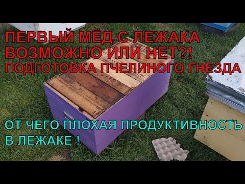 Видео: ПЕРВЫЙ ВЕСЕННИЙ МЁД С ЛЕЖАКА как работать с лежаком ВОЗМОЖНО ИЛИ НЕТ 🍯☝️🐝