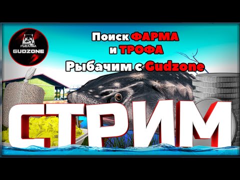 Видео: РР4 СТРИМ  •⭐ПРОВЕРКА ФАРМА на ОСЕТРАХ и за ТРОФОМ ТОЛСТОЛОБА НА СУРЕ⭐#рр4 #рр4стрим