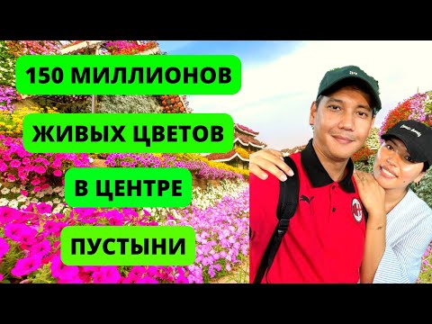 Видео: Сад живых цветов в Дубае удивит любого туриста. Лучший в мире сад чудес