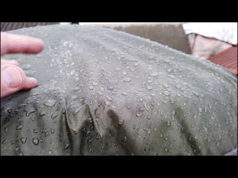 Видео: Замёрзли ли пальмы после суровой зимы?