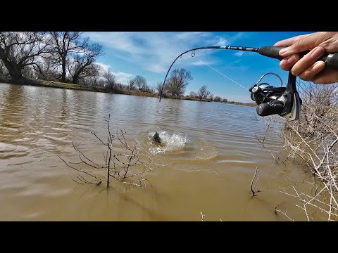 Видео: ЖЕСТЬ! ОНИ СИДЯТ СРЕДИ КОРЯГ И ВЕТОК. Спиннинг по притокам реки Дон