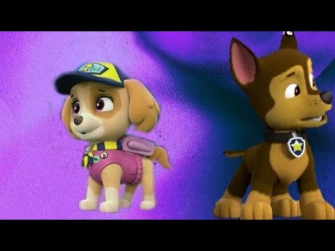 Видео: Гончик и Скай 😢❤️ Chase and Skye 😢❤️