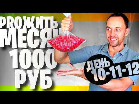 Видео: ЖИВУ МЕСЯЦ на 1000 🤑 ДЕНЬ 10 - 11 - 12 🤑 НУЛЕВОЙ ЧЕК