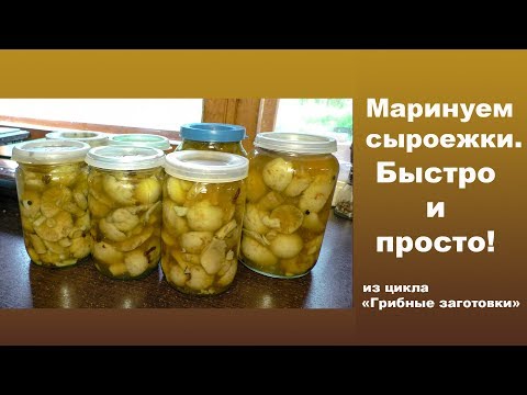 Видео: Маринуем сыроежки. Быстро и просто!