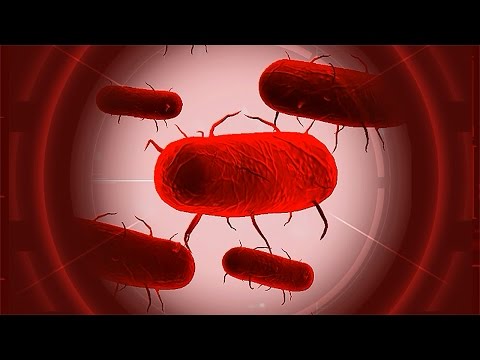 Видео: ПОДРУБИЛ ЧИТЫ ► Plague Inc: Evolved #24