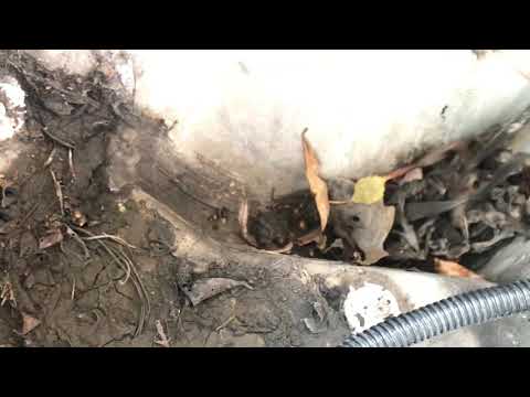 Видео: ЗАТЕКАЕТ ВОДА в салон Opel Combo C/Corsa 2008. МНОГО ГРЯЗИ! Чищу сливные клапаны и ищу проблему.