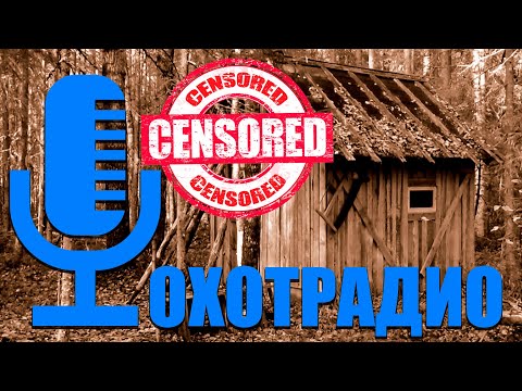 Видео: ОХОТА НА ВОРОН ВМЕСТО СТЕНДА РОМАН СОКОЛ🔴ОХОТРАДИО