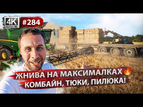 Видео: Боремося з кліщем❌Новий комбайн🚜Жнива повним ходом🌱