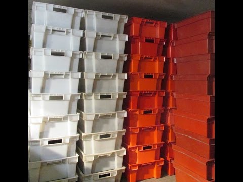 Видео: Бизнес. Разведение Дендробены.Закладка маточника. 1часть.