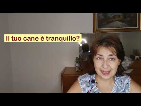 Видео: Pratica A1  Ответить на вопросы