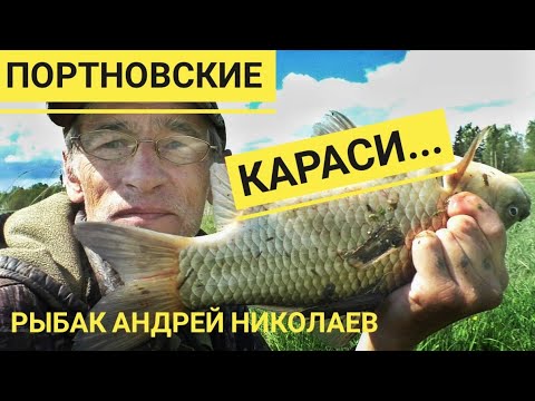 Видео: Портновская. Караси гиганты. Колхозный пруд. Рыбак Андрей Николаев. Летняя мормышка. Боковой кивок.