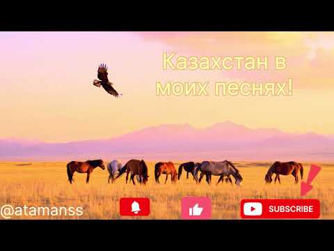 Видео: Песня ,, Казахстан’’ Землякам Всем привет! На связи 24/7🫶