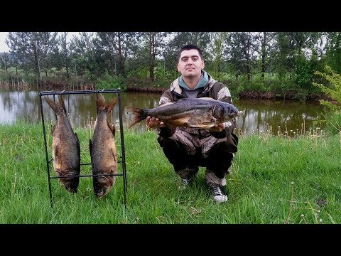 Видео: Холодное копчение.Коптильня холодного копчения.Копчение.Коптильня.
