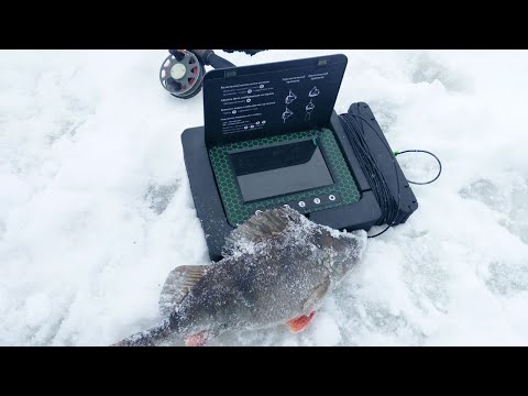 Видео: Обзор подводной камеры МУРЕНА. Отличный инструмент для поиска рыбы.