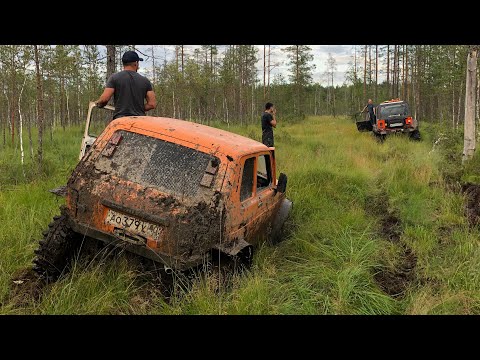 Видео: TLC80, Wrangler, C303 на лапландерах и бешеная Нива! Окрестности Коваши продолжают радовать)