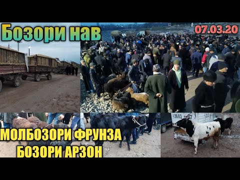 Видео: Молбозори арзон бозори нав фрунза нархи гнаҷин гови ширте гусфанд бука FURUNZA 07 март 2020
