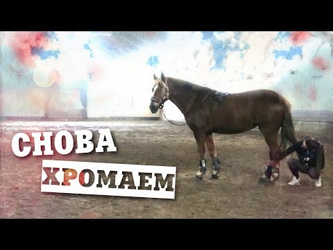 Видео: СНОВА ХРОМАЕМ | Прощай спорт? | Выездка | Конный влог 4