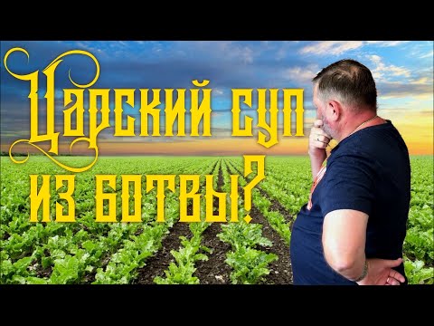 Видео: Ботвинья - царица холодных супов