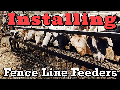 Видео: Кормушки для коз | Установка кормушек для коз на ограждении | Видео о козах