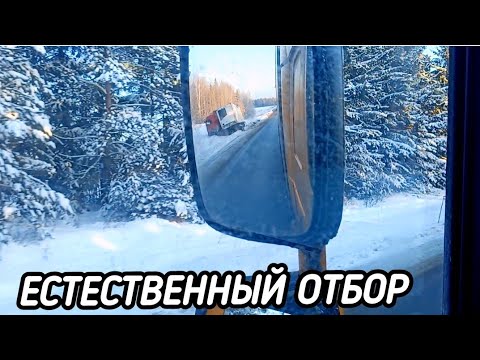 Видео: ЗИМОЙ ДЕРЗКИЕ ДАЛЬНОБОЙЩИКИ ТЕРПЯТ ПОРАЖЕНИЕ. ЧЕМ ДАЛЬШЕ- ТЕМ БОЛЬШЕ ДТП