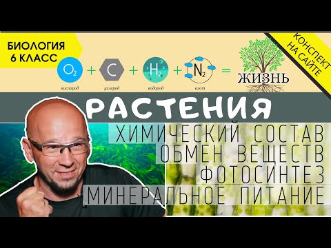 Видео: Фотосинтез. Минеральное питание растений. Биология 6 класс. Химический состав растений Обмен веществ