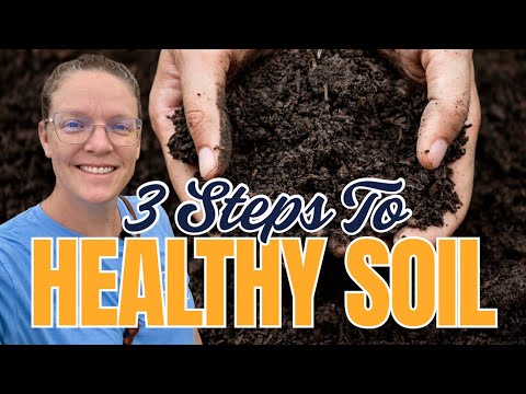 Видео: 🌱 3 простых шага к ЗДОРОВОЙ ПОЧВЕ — секреты ЛУЧШЕЙ почвы!