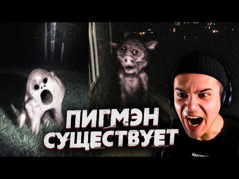 Видео: ПИГМЭН - Миф или Реальность? | Черный Кот | Коты Ютуберы | Страшные Видео на Ночь | Реакция