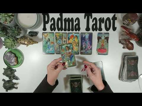 Видео: КОЗЕРОГ♑️СЛУЧАЙНОЕ СОБЫТИЕ, КОТОРОЕ МЕНЯЕТ ВСЁ! 10-16 НОЯБРЯ Еженедельное гадание на картах Таро 💫🔮