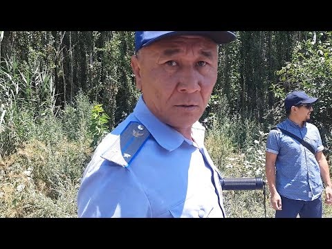 Видео: Жалал-Абад.Жолдогу татаалдыктар.