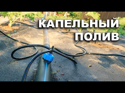 Видео: Капельный полив. Собираем за один день.