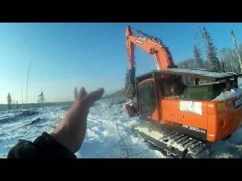 Видео: ✅Пару дней с Вахты Раскряжевка древесины ( Процессор) Часть Первая