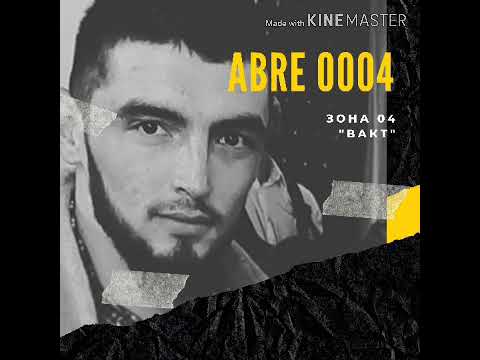Видео: Zone 04 ABRE 0004 (ВАКТ)