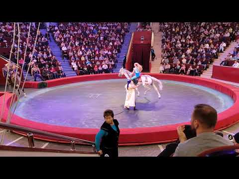 Видео: Акробаты на лошадях Большой цирк Алматы 12.11.2022