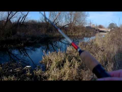 Видео: Здесь рыбы нет.../There are no fish ...