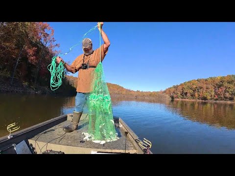 Видео: Советы по выбору приманки осенью и зимой (Betts Deep Hole)