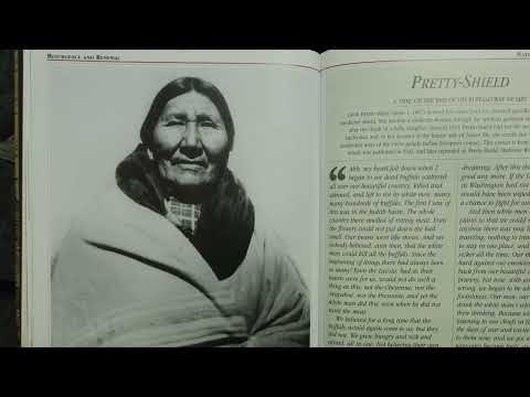 Видео: Нулимсны зам